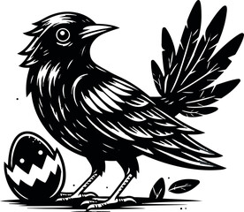 black and white bird