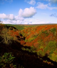 Obraz premium Mountain Valley Near Dowra, Co Leitrim, Ireland