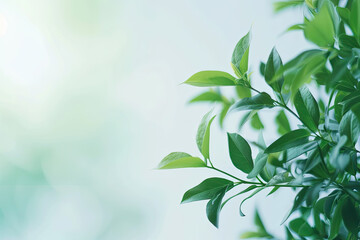 Closeup of vibrant green bush leaves suitable for naturethemed designs, environmental campaigns, gardening concepts, and ecofriendly projects.