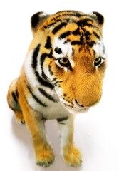 Realistic Looking Toy Tiger