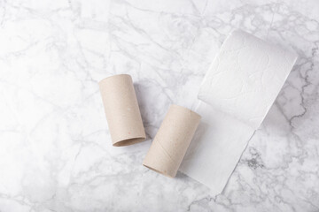 Empty toilet paper roll. Empty toilet paper rolls and plant for on white background. Paper tube of toilet paper. Place for text. Copy space. Flat lay. Eco-friendly reuse recycle
