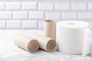 Empty toilet paper roll. Empty toilet paper rolls and plant for on white background. Paper tube of toilet paper. Place for text. Copy space. Flat lay. Eco-friendly reuse recycle