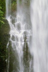 Waterfall In The Forest