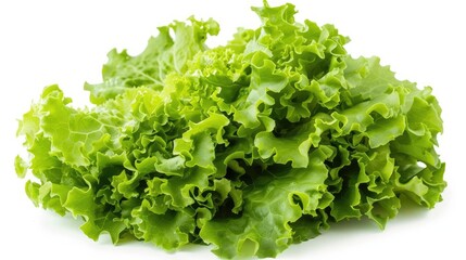 fresh Lettuce isolated on white background