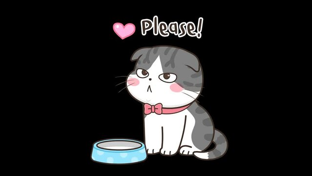 Animated Grey Cat Asking for Food Transparent Background