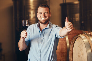 Portrait, happy man and glass of wine with thumbs up, thank you and agreement with smile in...