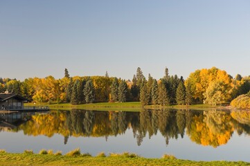 Hawrelak Park, Edmonton, Alberta, Canada; View Of Autumn Trees