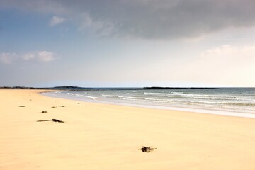 Seashore, Northumberland, England