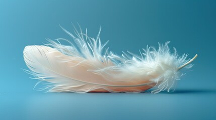 Close-up of a delicate, white feather lying on a soft blue background, capturing the intricate details and lightness of its texture.