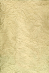 Piece Of Crumpled Paper