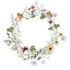 Wildflowers watercolor flowers. Wreath, bouquet with watercolor flowers. Transparent background.
