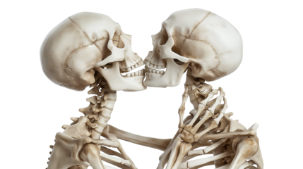 Romantic Skeletons Hugging and Kissing isolated on a transparent background