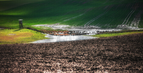 Wiosna © Robert