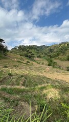 landscape with blue sky