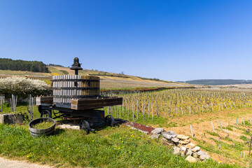 Fototapeta premium Old wine press, Cote de Nuits, Burgundy, France