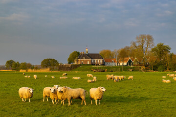 Obraz premium Former island of Schokland, UNESCO World Heritage Site, Netherlands