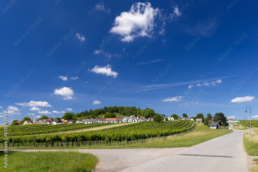 Poster traditional wine cellars with vineyard in galgenberg near wildendurnbach, lower austria, austria