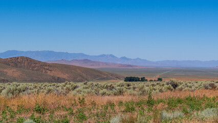 Summer Valley Landscape, Nevada, USA