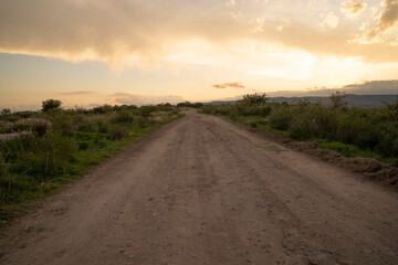View of the empty dirt road across the rural meadow at sunset