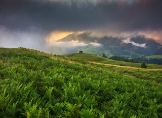 Foggy morning in the mountains. Summer dawn in the Carpathians. Nature of Ukraine