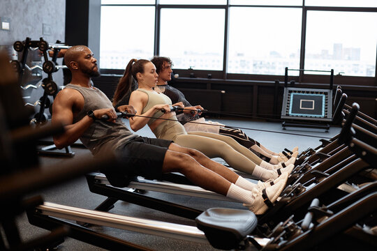 Side view portrait of people using rowing machine during strength training in gym, copy space