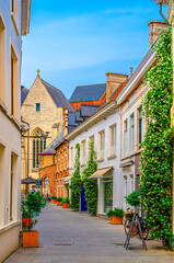 Narrow pedestrian cozy street with green plants on walls of buildings in Kortrijk city historical centre, Kortrijk old town, vertical view, West Flanders province, Flemish Region, Belgium