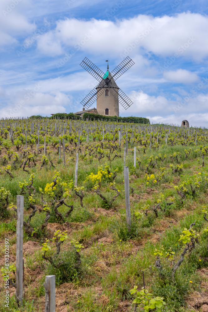 Poster windmill (moulin a vent de romaneche-thorins), chenas, beaujolais, saone-et-loire, bourgogne-franche