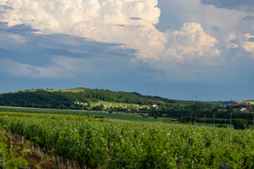 Traditional wine cellars (Gombos-hegyi pincesor) in Hercegkut, UNESCO site, Great Plain, North Hungary