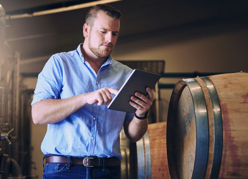 Cellar, tablet and wine with sommelier man for alcohol production, management or online order. Small business, startup and technology with person in distillery of winery for manufacturing or storage