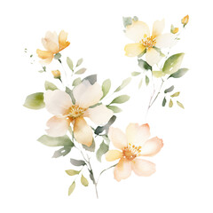 A selection of bright and delicate watercolor flowers, ideal for creative project