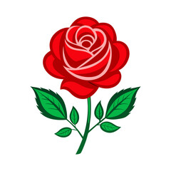 Beautiful red rose illustration 