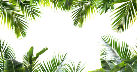 Palm tree leaves overlay texture with border of fresh green tropical plants on white background. Suitable for tropical holiday and nature-related designs.