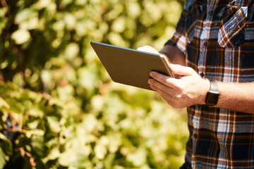 Hands, farmer and tablet in countryside for inspection, crops and digital information on...