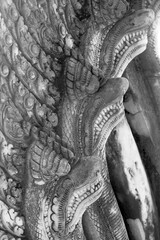 Close up view of famous Naga statue at historic Angkor wat temple in Siem Reap, Cambodia.