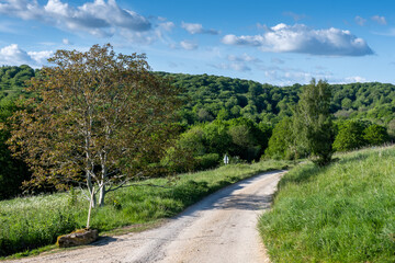 gravel track in the countryside
