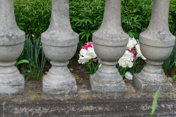 shallow depth of field focus on elegant florals behind a row of stone balusters 