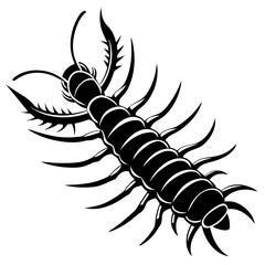 Obraz premium centipede silhouette vector