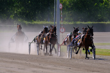 Racing horses trots and rider on a track of stadium. Competitions for trotting horse racing. Horses compete in harness racing. Horse runing at the track with rider.
