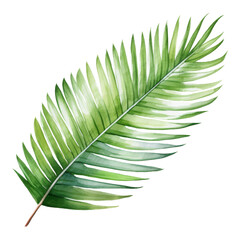 Fototapeta premium Coconut Leaf, Tropical Leaf Illustration. Watercolor Style. AI Generated