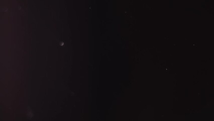 Abstract overlay with particles and bokeh. Light leaks, dust and scratches. Floating dust slow motion on black background