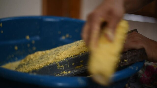 Grating yellow-green corn to make tamale.