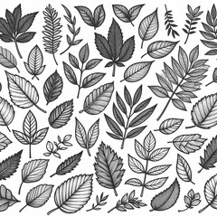 a collection of leaves and plants with the words leaves on them set of different leaves