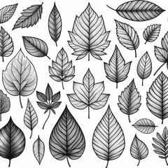 Obraz premium a collection of leaves and plants with the words leaves on them set of different leaves