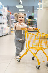 A little smiling girl is holding a shopping cart in a store.