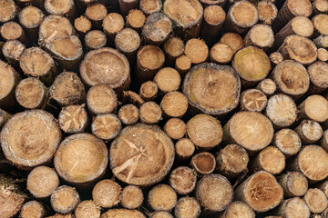 Stack of timber logs, natural material used for lumber and cuisine ingredients