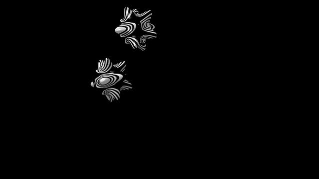 gwiazda fluktuacje geometria