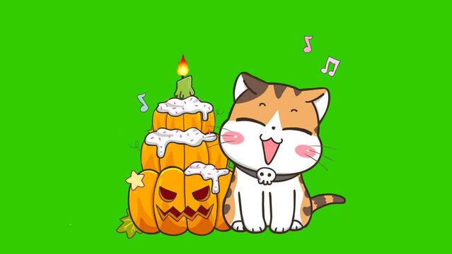 Witch Cat with Birthday Cake - Halloween Animation on Green Screen