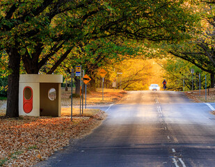 Bus stop in Canberra during Autumn