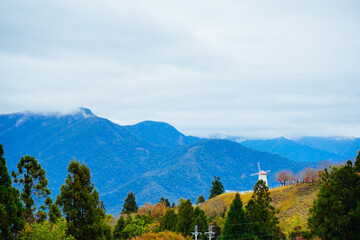 Obraz premium ali shan mountain and qingjing farm landscape in Taiwan 