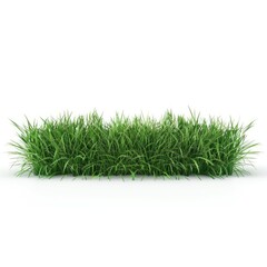 Meadow green grass row horizontal cut backgrounds 3d rendering isolated on white background  